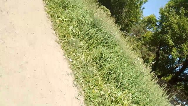1000045066.mp4