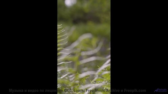 Душа вылетает из тела при таких пейзажах и звуке - Pop Rock 2 -- Johannes Grote -- Unnamed album