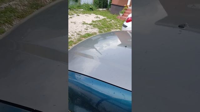 1000001121.mp4