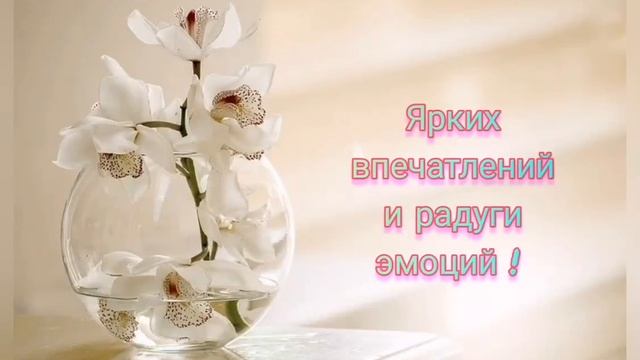 Светлана! С Днём Рождения!