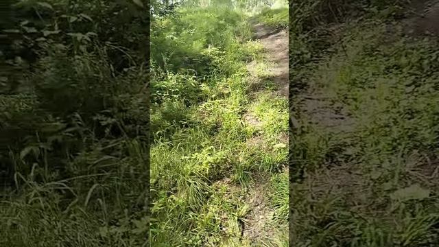 Участок