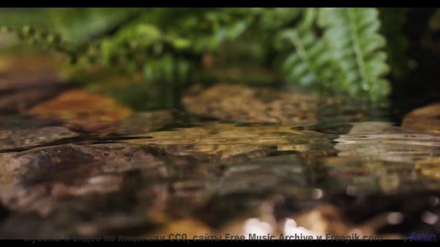Невозможно не заслушаться под такую завораживающую картинку - How Can Things Be -- HoliznaCC0 -- Orp