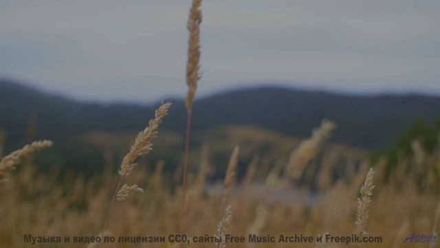 Этот источник дарует. и забирает! - Inspiring and Upbeat -- Scott Holmes Music -- Happy Background M