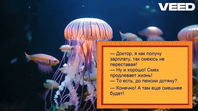 Релакс с анекдотами 1