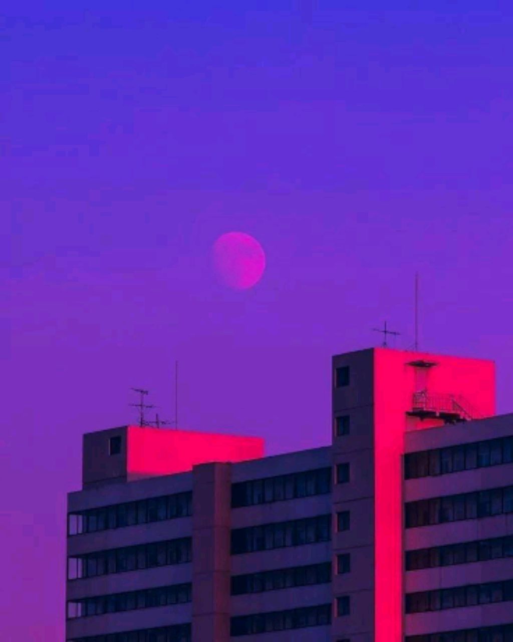 ферма 
жизнь
бимка