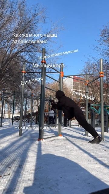 Тренировка мышц