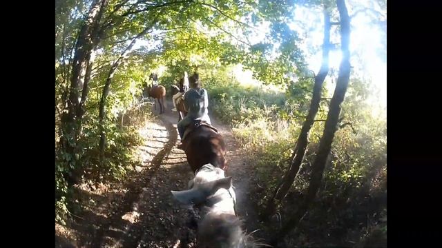Конная прогулка в Крыму