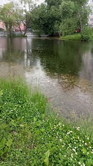Охотница