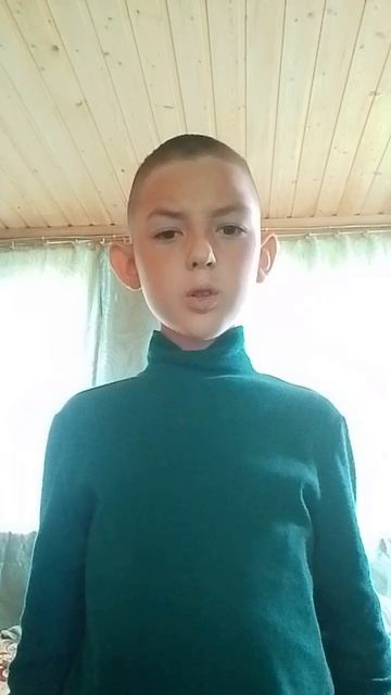 scene_output.mp4d