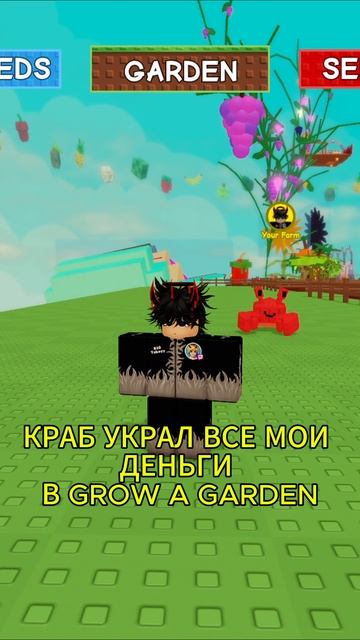 КРАБ УКРАЛ ВСЕ МОИ ДЕНЬГИ В GROW A GARDEN НОВЫЕ ПЕТЫ ROBLOX #ROBLOX