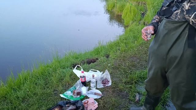 Сомики на Ине