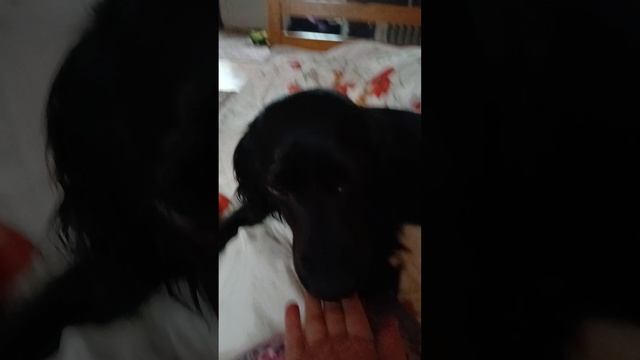 1000001561.mp4