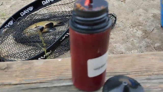 1000031038.mp4