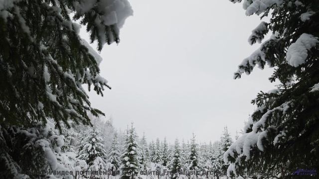 Горы, скорость и звук, который не даёт сбавить обороты! - Partly Cloudly -- A Tape Full of Mistakes