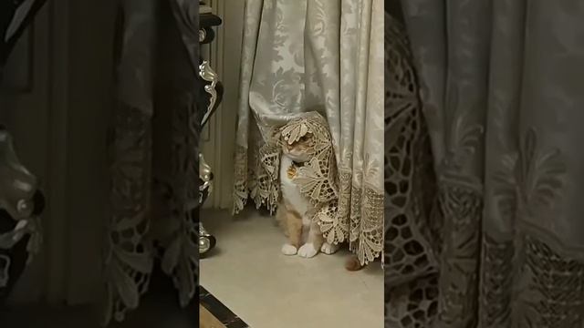 ну ржачка 😅