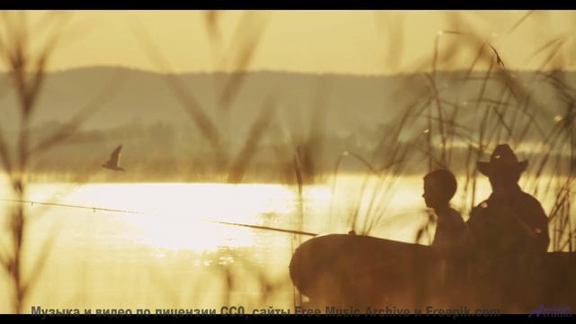 Что скрывают от нас эти кадры природы Правда шокирует! - Brickfield Nights -- Duncan Reid and the Bi