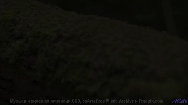 Слушайте её перед сном - и засыпайте с мыслями друг о друге! - Kesh Ident 1 (insistent electronica)