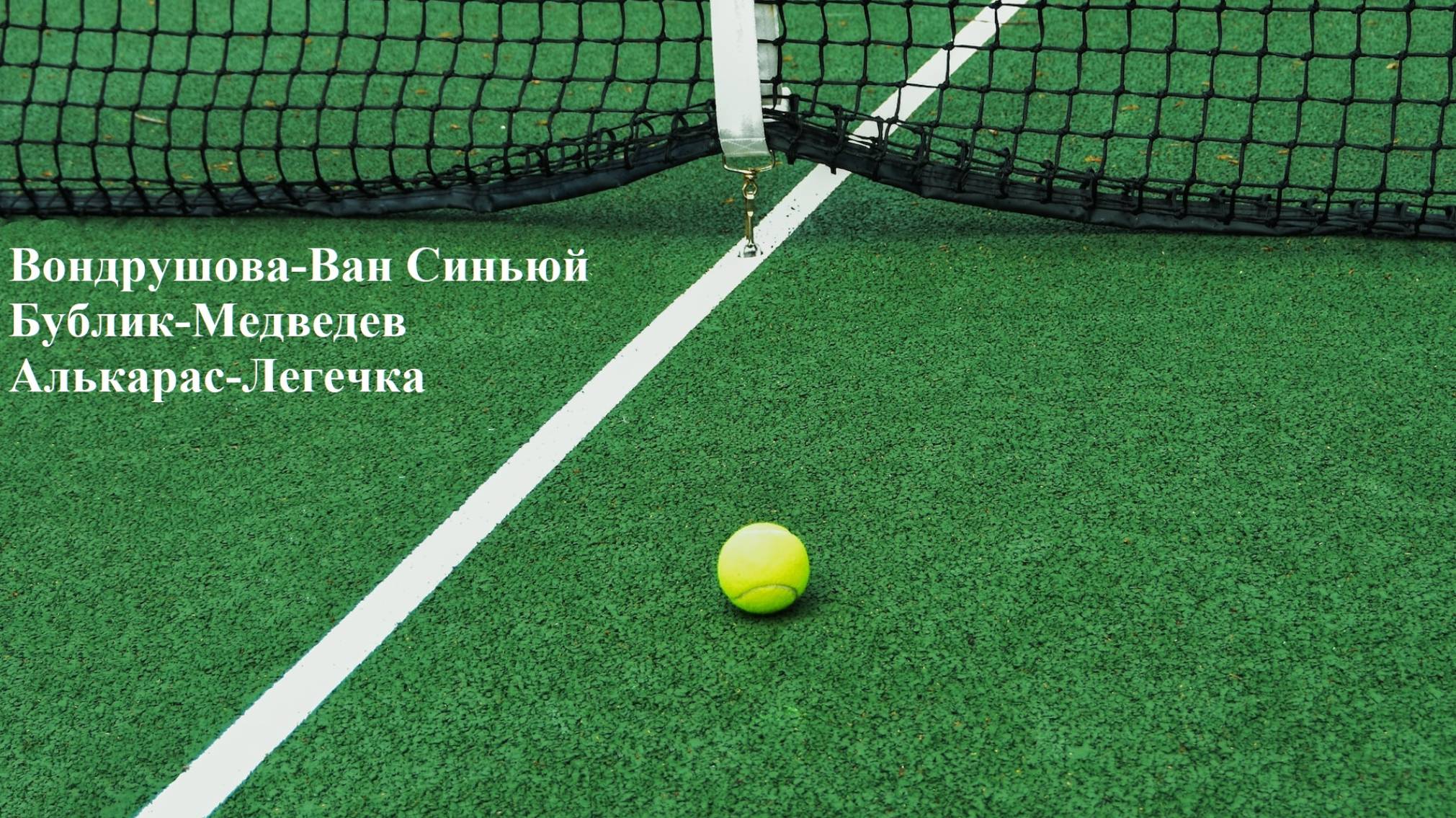 Вондрушова-Ван Синьюй, Бублик-Медведев, Алькарас-Легечка прогнозы на теннис 22 июня 2025