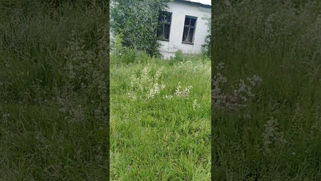 Заброха 1часть
