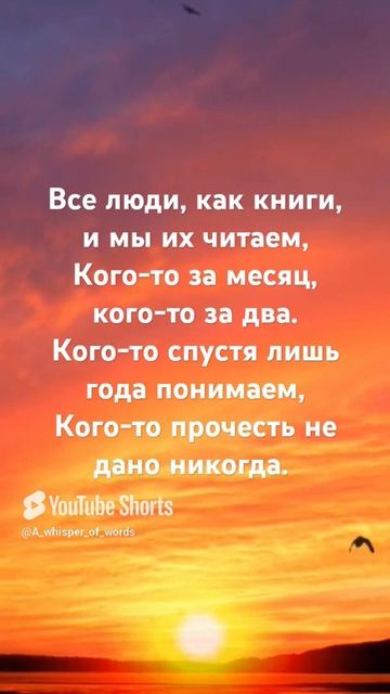 #стихи #поэтично #поэзия #стихиожизни