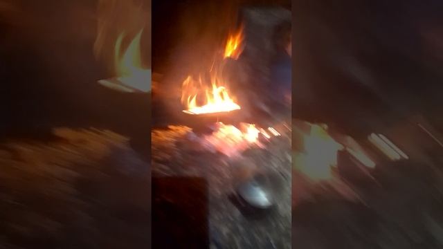 VID_20250616_235735.mp4