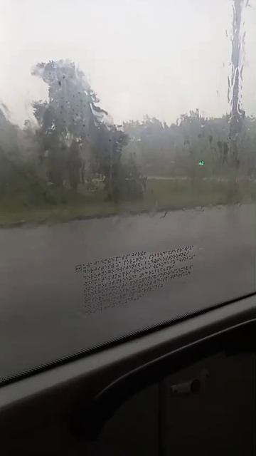1000041212.mp4