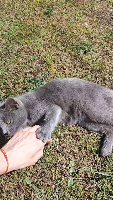 Солнечные ванны