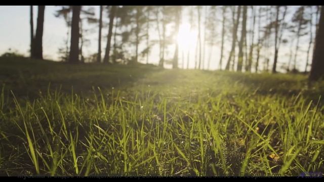 Ты почувствуешь, как что-то меняется внутри после просмотра! - Thereafter -- A. A. Aalto -- The West