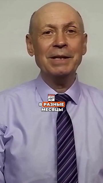 Как сэкономить на семенах для огорода — секрет, о котором молчат магазины