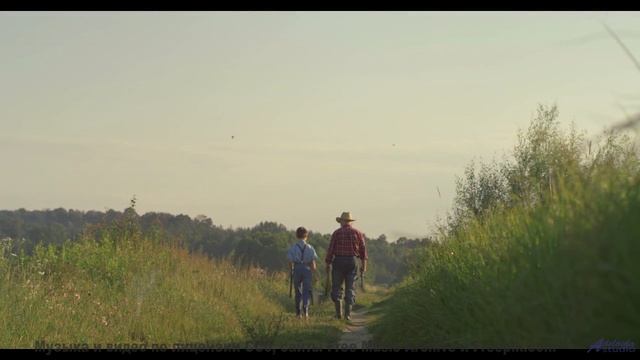 Эти виды под этот звук пробирают до слёз - Rain Forest Dreams (ID 1276) -- Lobo Loco -- Around