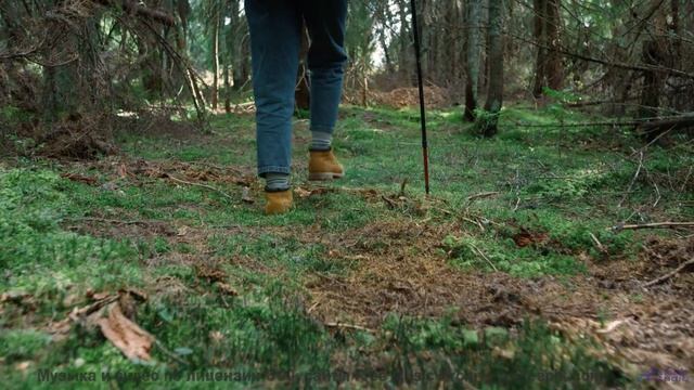 Каждая вершина, каждая река звучат в этой мелодии - Fireflies -- Ketsa -- Growth