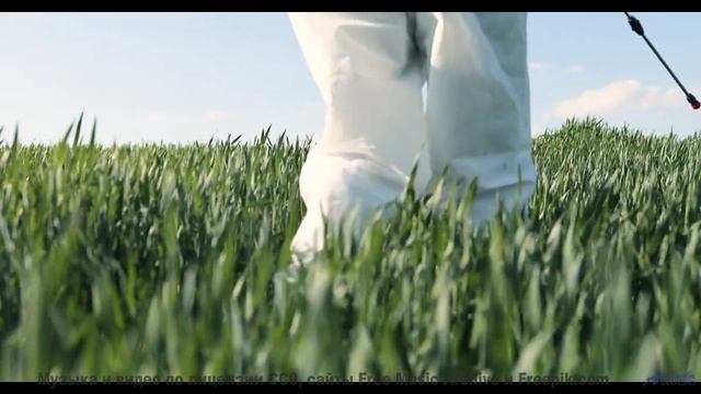 Этот трек - как последний луч солнца перед ночью! - Hopp Dubb -- Ketsa -- Darkness and Light