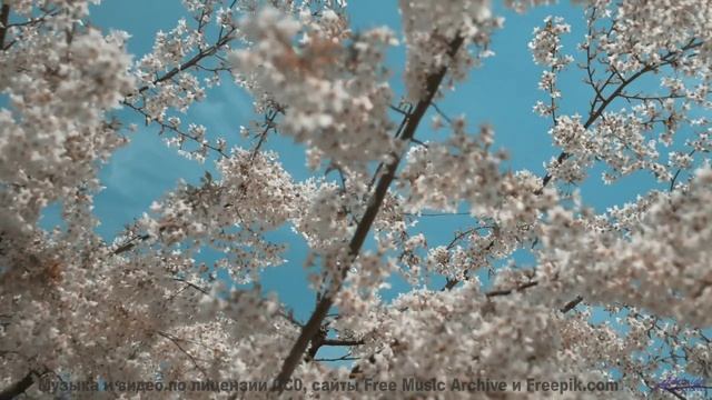 Эта мелодия заставит вас плакать от красоты - Bed of Weeds -- Derek Clegg -- Good Graces