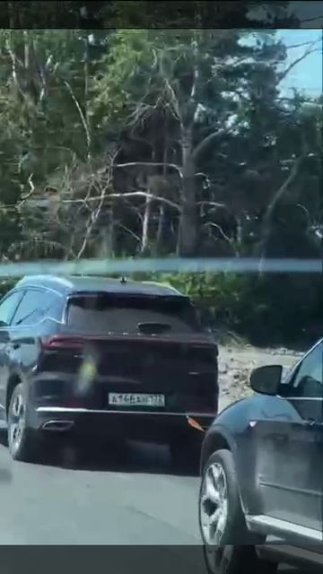 ☝️Сделаю вид, что я это не видел.
Chery🤣