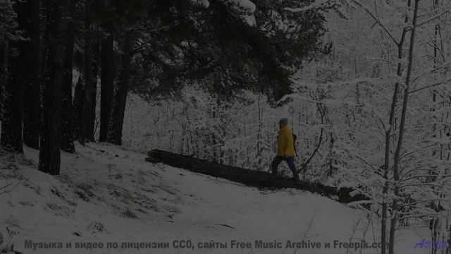 Клип, созданный квантовым компьютером - будущее наступило! - A Fleeting Thought -- Kirk Osamayo -- S