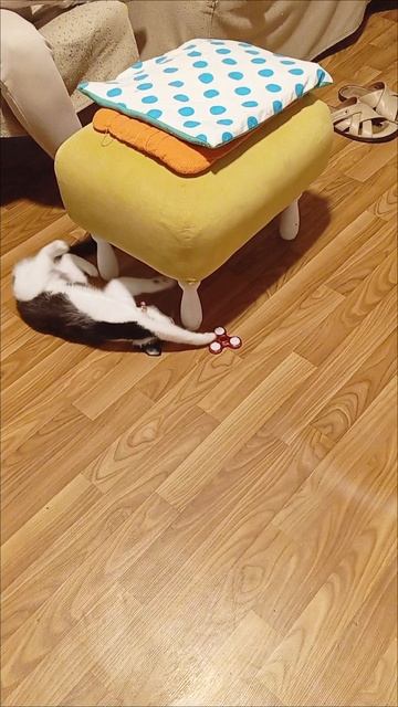 1000000979.mp4