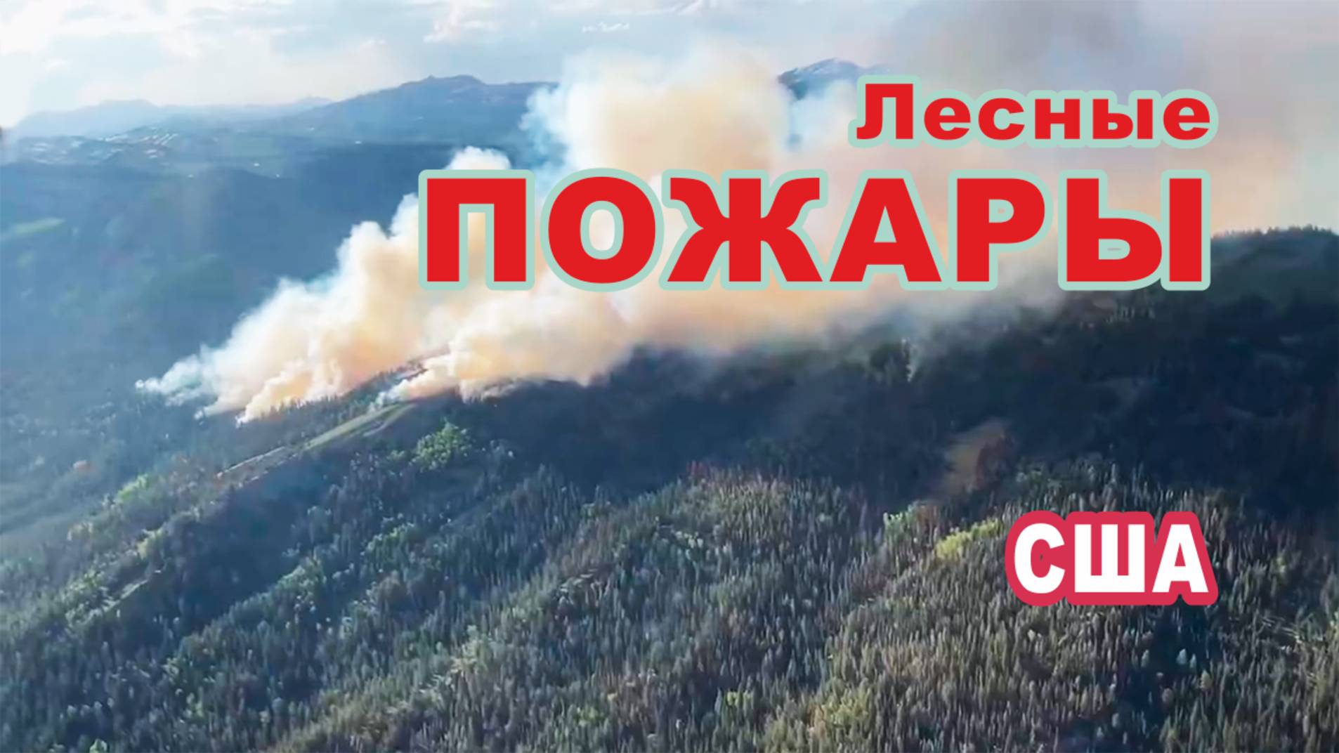 Лесные пожары в США.