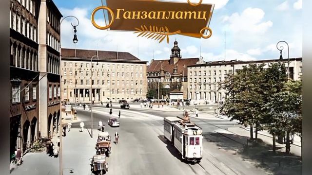 Kenigsberg в цвете #1.