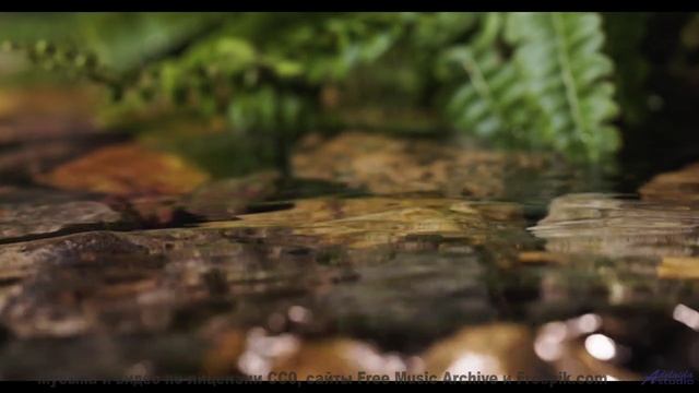В голове остаётся только ритм и бескрайняя природа - Fly Away (EDM  Instrumental) -- Zight -- Unname