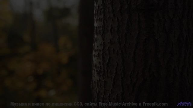 Звуки, используемые для межгалактической связи - пришельцы одобряют! - Sunny Afternoon -- HoliznaCC0