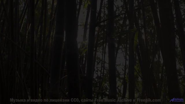 Мелодия открывает новые горизонты прямо на экране - Fatimah -- Ov Moi Omm -- Unnamed album