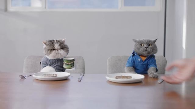 Клуб укусов (bite club)