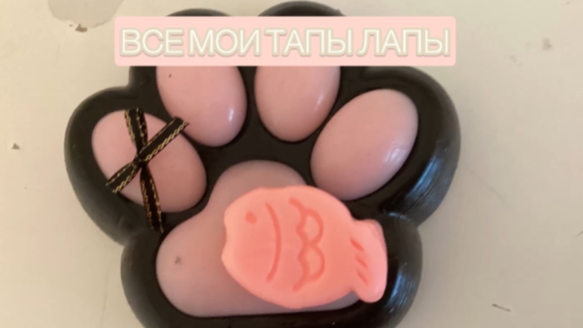 ВСЕ МОИ ТАПЫ ЛАПЫ//
