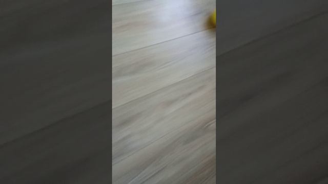 1000010189.mp4