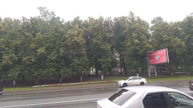 животный выставки красота аквариумные рыбки обзоры .зооэкспо кошки собаки