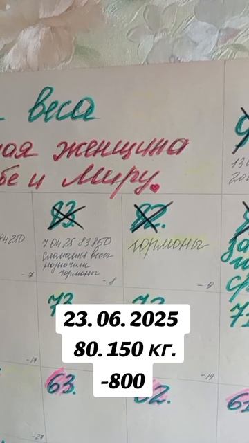 отчёт 23 июня.mp4