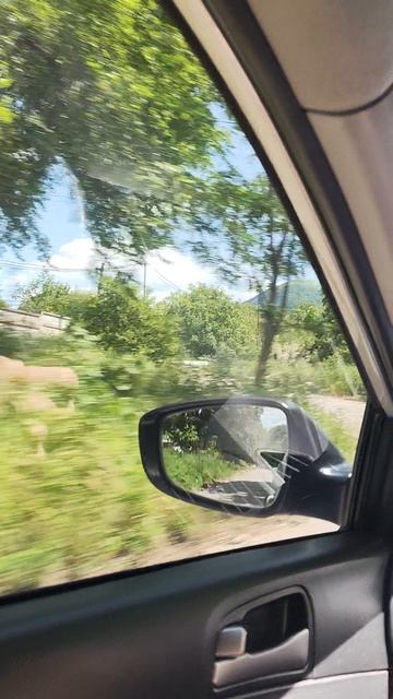 Тонировка