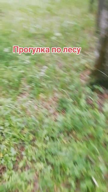 2025-06-22-172220307.mp4