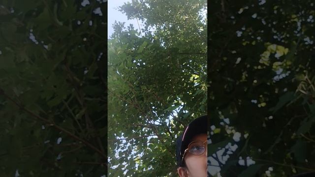 🌞🌴🏄🎇лето