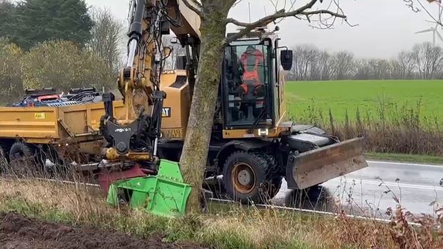 Лесные валочные ножницы BI300 OMEFGROUP на экскаватор CAT 8-14тн